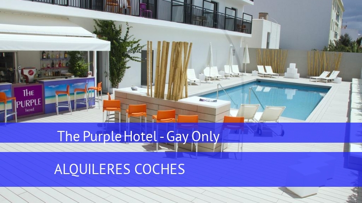 The Purple Hotel - Gay Only 