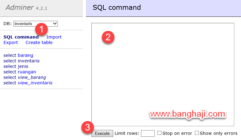 SQL Command Adminer