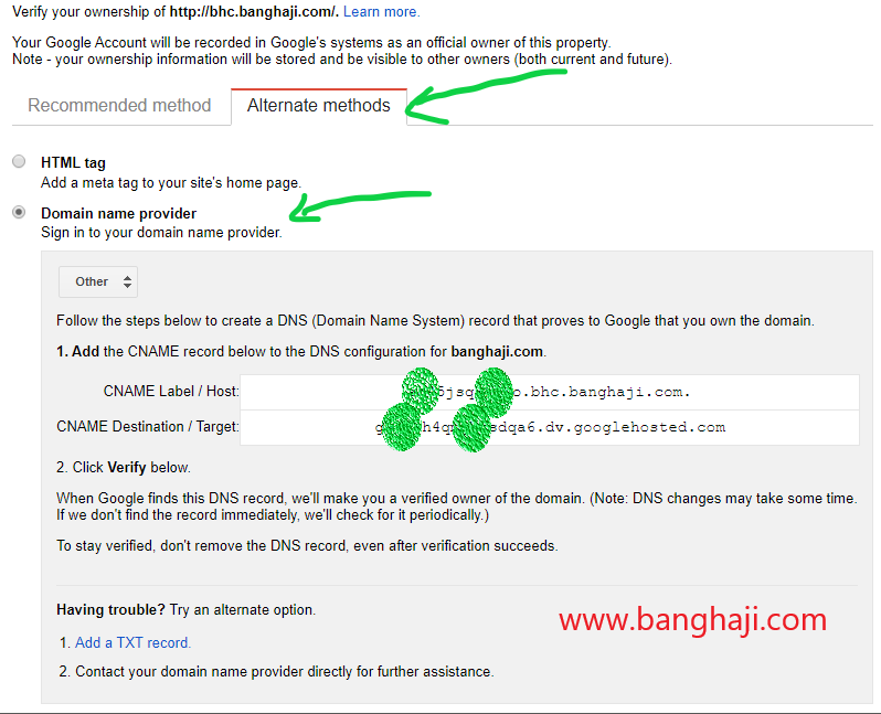 alternate methods untuk verifikasi domain banghaji dotcom