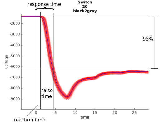 timings explained