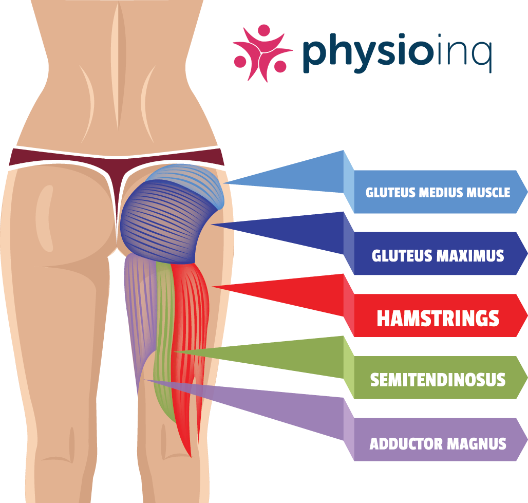 Hamstrings Injuries Treatment Strategies