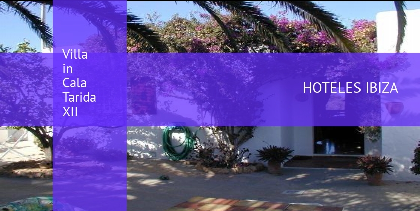 Villa in Cala Tarida XII booking