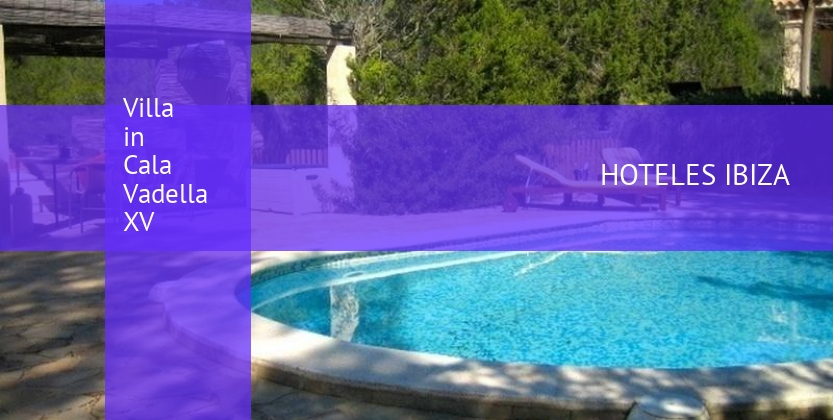 Villa in Cala Vadella XV booking