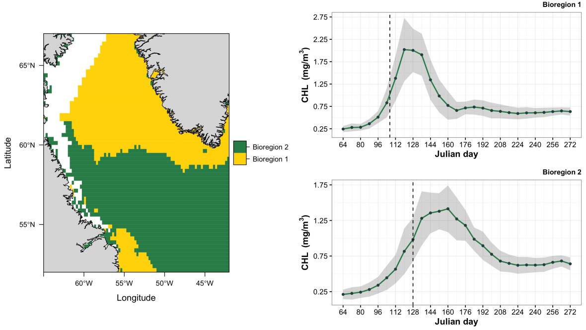 Using R and satellite data to identify marine bioregions