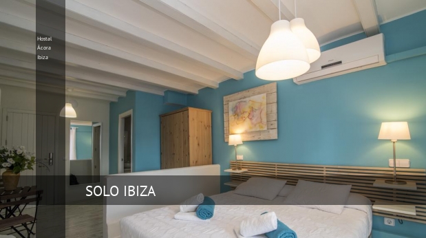 Hostal Ácora Ibiza mascota