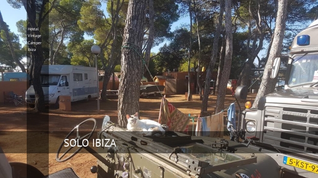 Hostal Vintage Camper Ibiza mascota