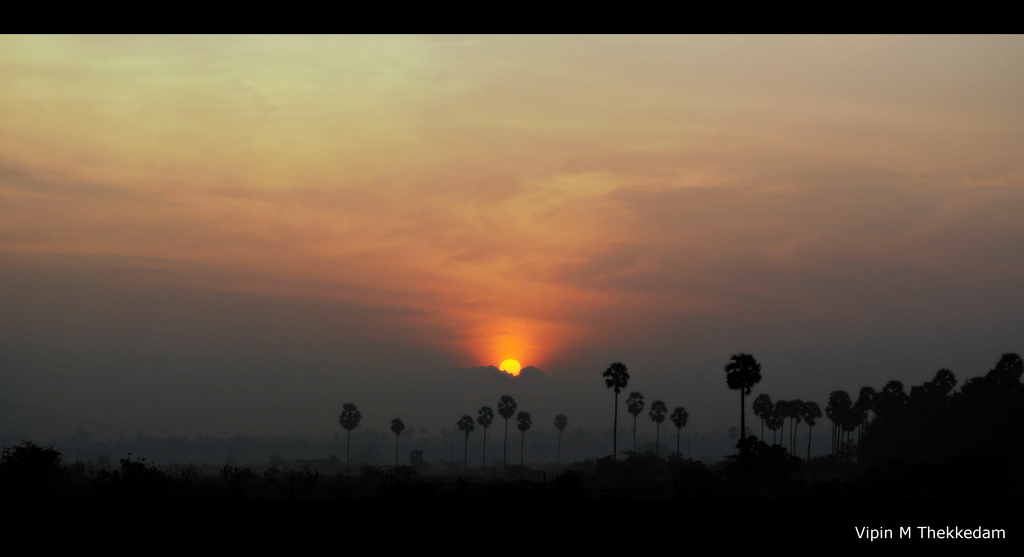 Good Morning - Padapai