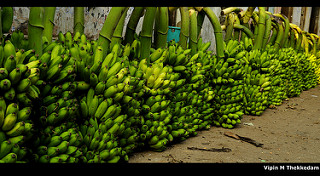 Best quality banana