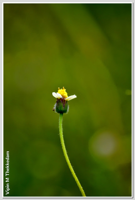 One alone